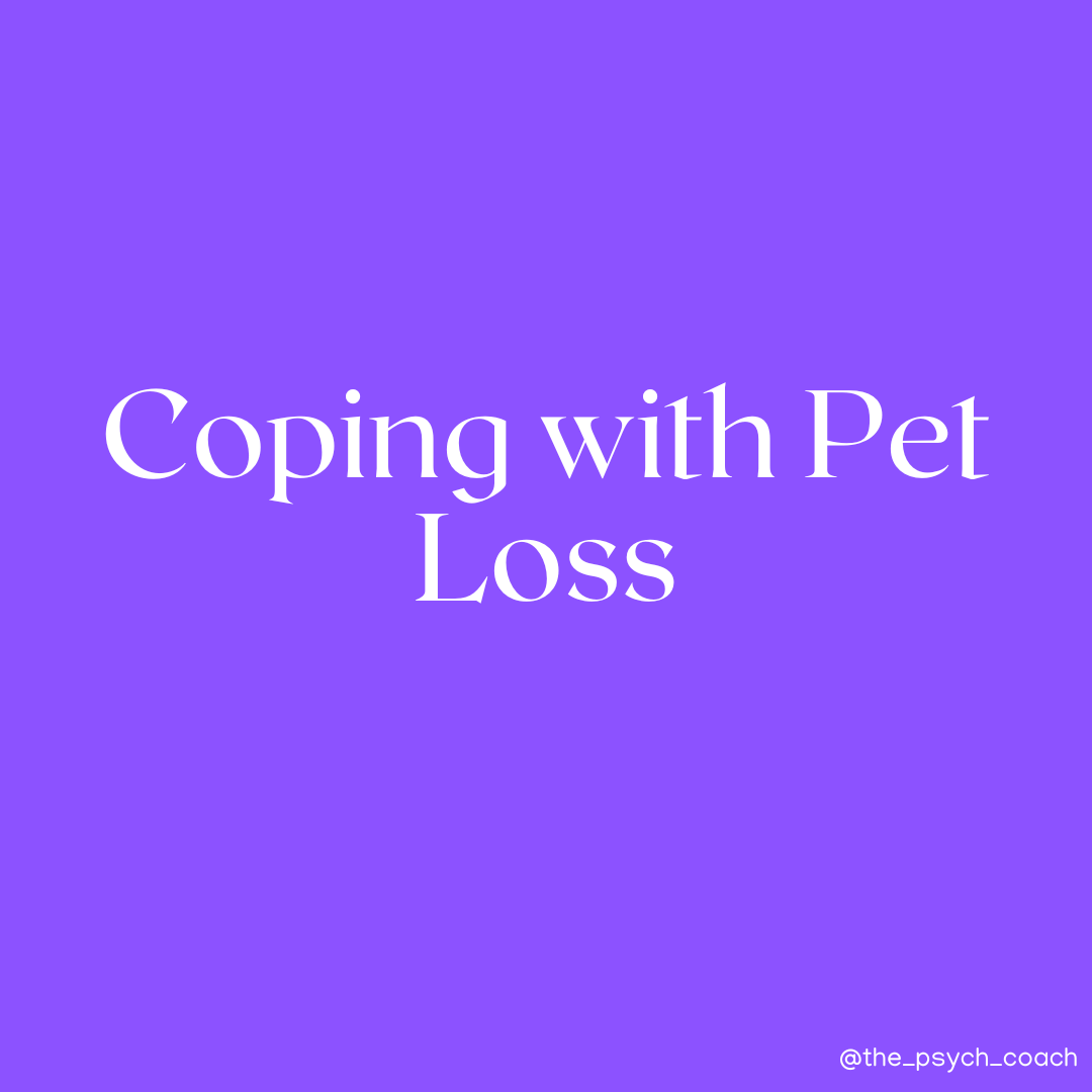 Pet Loss from a Psychotherapist in Dublin